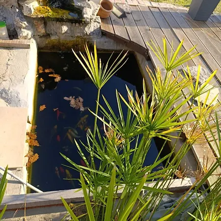 Kojiodmor Tatil Evi *