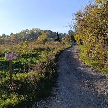 Kojiodmor Tatil Evi